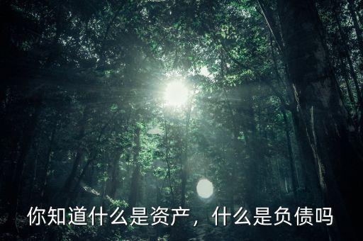 你知道什么是資產(chǎn)，什么是負(fù)債嗎