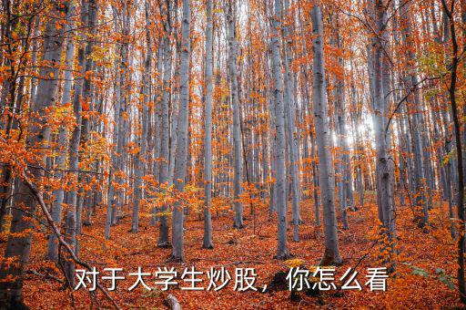 對于大學(xué)生炒股，你怎么看