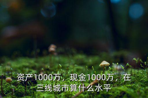資產(chǎn)1000萬(wàn)，現(xiàn)金1000萬(wàn)，在三線城市算什么水平