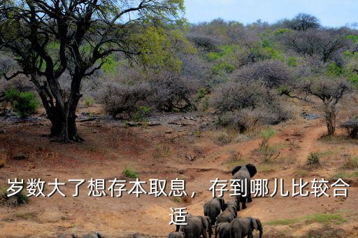 歲數大了想存本取息，存到哪兒比較合適