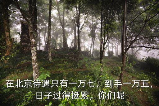 月薪一萬(wàn)到手多少,公務(wù)員工資1萬(wàn)到手多少錢(qián)