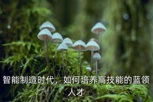 智能制造時(shí)代，如何培養(yǎng)高技能的藍(lán)領(lǐng)人才
