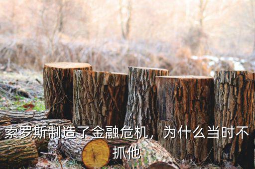 索羅斯制造了金融危機(jī)，為什么當(dāng)時(shí)不抓他