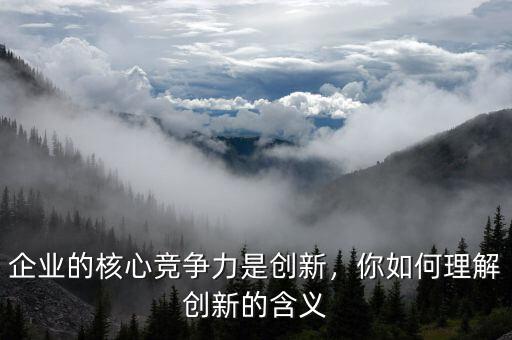 企業(yè)的核心競爭力是創(chuàng)新，你如何理解創(chuàng)新的含義