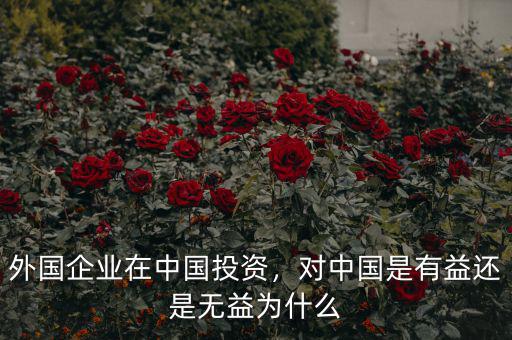 外國(guó)企業(yè)在中國(guó)投資，對(duì)中國(guó)是有益還是無益為什么