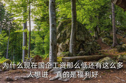 為什么現(xiàn)在國企工資那么低還有這么多人想進(jìn)，真的是福利好