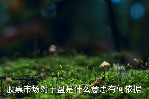 股票市場對(duì)手盤是什么意思有何依據(jù)