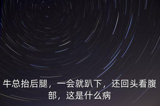 牛總抬后腿，一會就趴下，還回頭看腹部，這是什么病