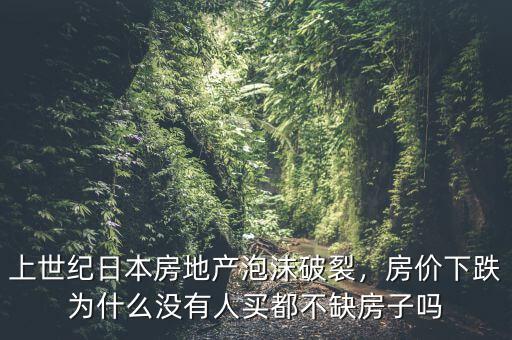 上世紀(jì)日本房地產(chǎn)泡沫破裂，房?jī)r(jià)下跌為什么沒(méi)有人買都不缺房子嗎