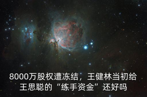 8000萬(wàn)股權(quán)遭凍結(jié)，王健林當(dāng)初給王思聰?shù)摹熬毷仲Y金”還好嗎