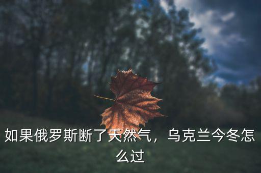 如果俄羅斯斷了天然氣，烏克蘭今冬怎么過