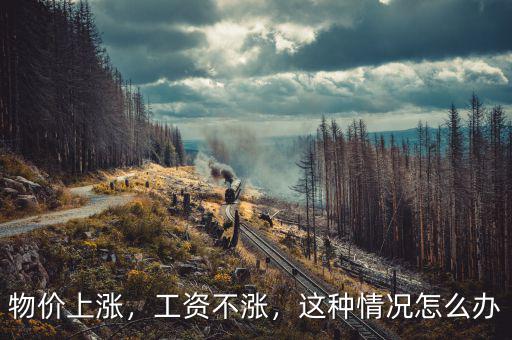 物價上漲，工資不漲，這種情況怎么辦