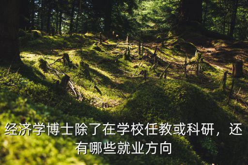 經(jīng)濟(jì)學(xué)博士除了在學(xué)校任教或科研，還有哪些就業(yè)方向