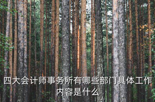 會(huì)計(jì)師事務(wù)所機(jī)構(gòu)代碼是什么,四大會(huì)計(jì)師事務(wù)所有哪些部門(mén)