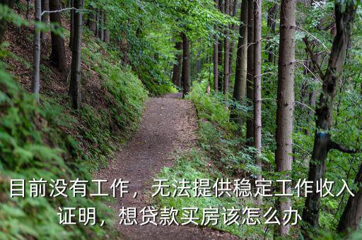 目前沒有工作，無法提供穩(wěn)定工作收入證明，想貸款買房該怎么辦