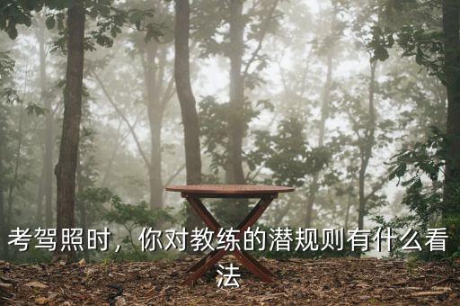 考駕照時(shí)，你對(duì)教練的潛規(guī)則有什么看法