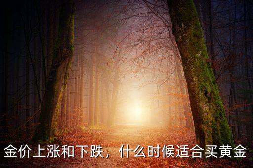什么時(shí)候買(mǎi)黃金股最合適,什么時(shí)候適合買(mǎi)黃金