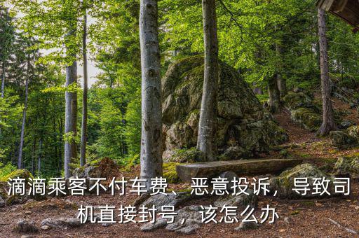 滴滴乘客不付車(chē)費(fèi)、惡意投訴，導(dǎo)致司機(jī)直接封號(hào)，該怎么辦