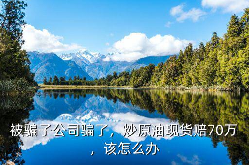 被騙子公司騙了，炒原油現(xiàn)貨賠70萬，該怎么辦