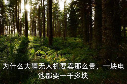 為什么大疆無(wú)人機(jī)要賣那么貴，一塊電池都要一千多塊