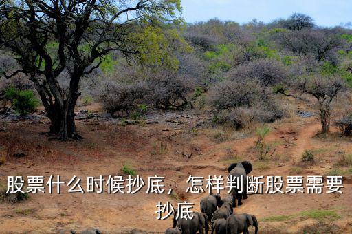 股票什么時候抄底，怎樣判斷股票需要抄底