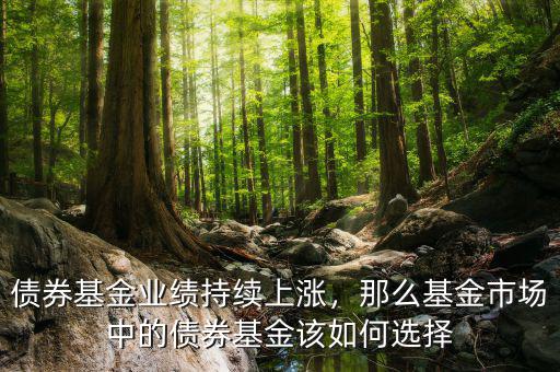債券基金業(yè)績持續(xù)上漲，那么基金市場中的債券基金該如何選擇