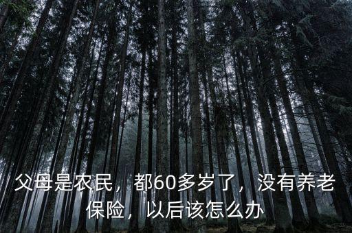 父母是農(nóng)民，都60多歲了，沒(méi)有養(yǎng)老保險(xiǎn)，以后該怎么辦