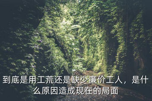 到底是用工荒還是缺少廉價(jià)工人，是什么原因造成現(xiàn)在的局面