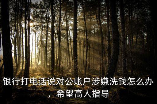 銀行打電話說對公賬戶涉嫌洗錢怎么辦，希望高人指導