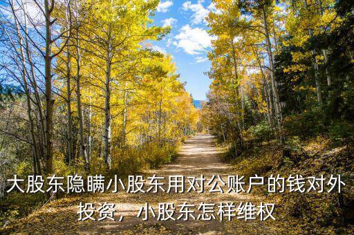 大股東隱瞞小股東用對(duì)公賬戶的錢對(duì)外投資，小股東怎樣維權(quán)