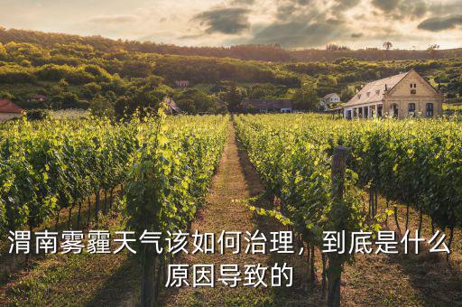 渭南霧霾天氣該如何治理，到底是什么原因?qū)е碌? class=