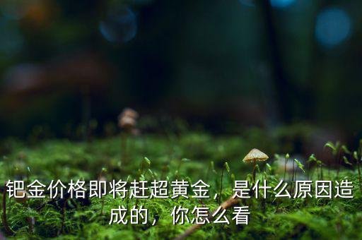 鈀金價(jià)格即將趕超黃金，是什么原因造成的，你怎么看