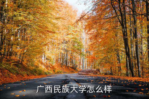 廣西民族大學怎么樣