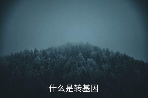 孟山都四大轉基因都是什么,支持轉基因的都是什么人