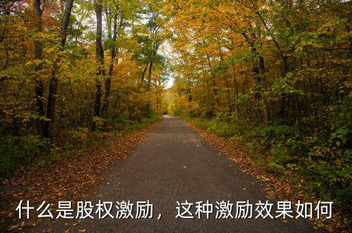 什么是股權(quán)激勵(lì)，這種激勵(lì)效果如何