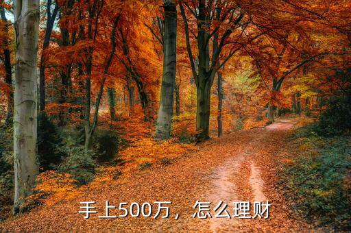 手上500萬，怎么理財(cái)
