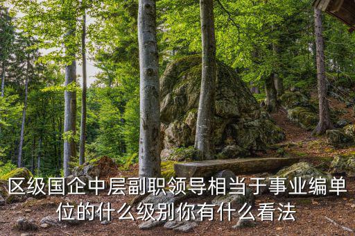 區(qū)級國企中層副職領(lǐng)導相當于事業(yè)編單位的什么級別你有什么看法