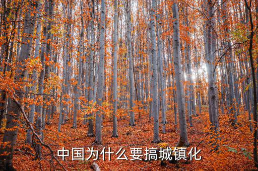 為什么城鎮(zhèn)化,中國(guó)為什么要搞城鎮(zhèn)化