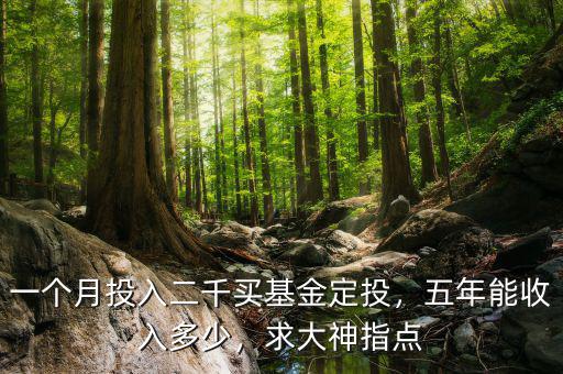 一個(gè)月投入二千買基金定投，五年能收入多少，求大神指點(diǎn)