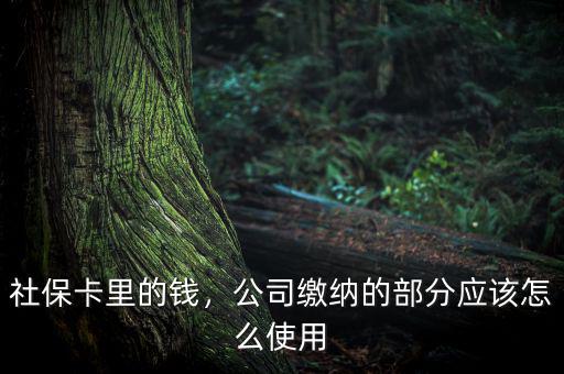 公司交的社保怎么用,社?？ɡ锏腻X