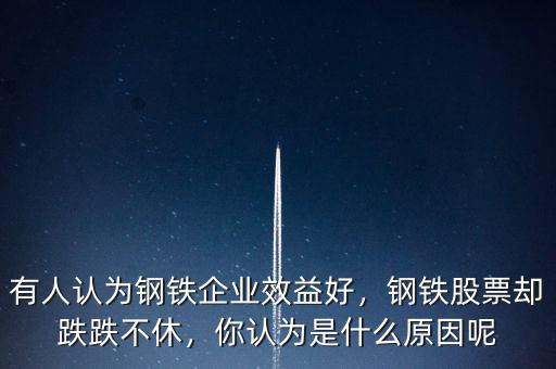 有人認(rèn)為鋼鐵企業(yè)效益好，鋼鐵股票卻跌跌不休，你認(rèn)為是什么原因呢