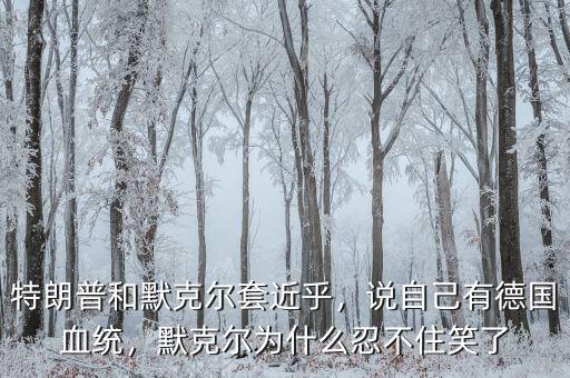 特朗普和默克爾套近乎，說自己有德國血統(tǒng)，默克爾為什么忍不住笑了