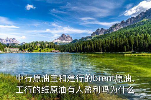 中行原油寶和建行的brent原油，工行的紙原油有人盈利嗎為什么
