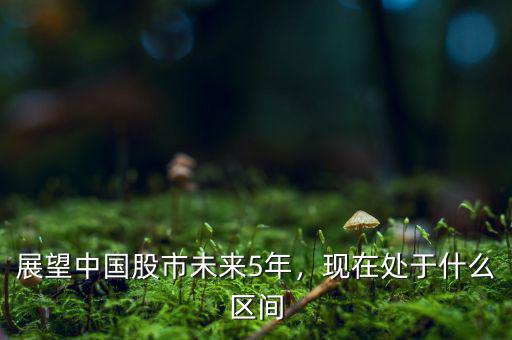 展望中國(guó)股市未來5年，現(xiàn)在處于什么區(qū)間