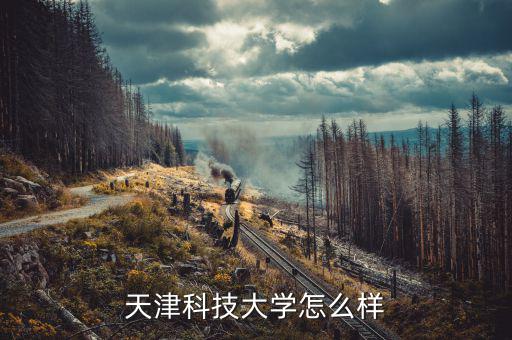 天津科技大學怎么樣