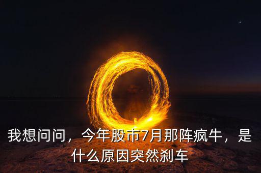 我想問問，今年股市7月那陣瘋牛，是什么原因突然剎車