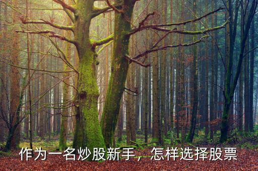作為一名炒股新手，怎樣選擇股票