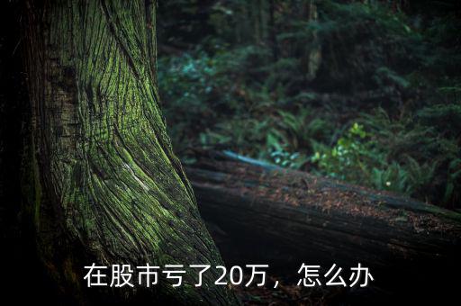 在股市虧了20萬，怎么辦