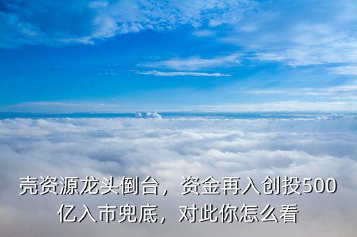 殼資源龍頭倒臺，資金再入創(chuàng)投500億入市兜底，對此你怎么看