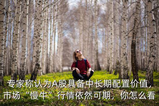 專家稱認(rèn)為A股具備中長(zhǎng)期配置價(jià)值，市場(chǎng)“慢?！毙星橐廊豢善冢阍趺纯? class=